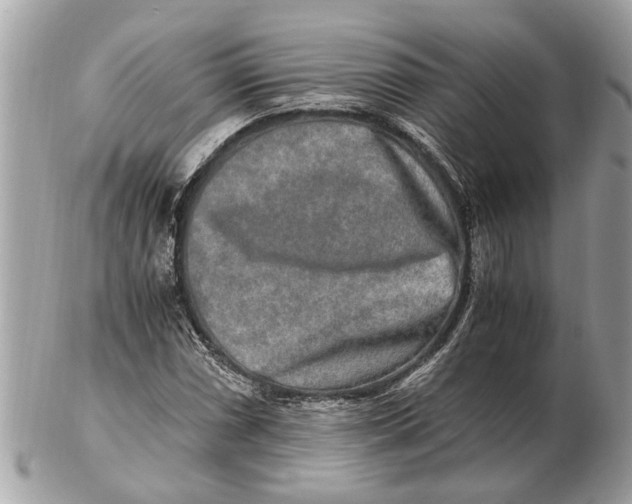 X0000102521066200808291752