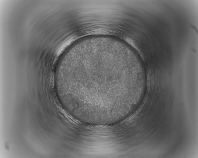 X0000102521067200808291752