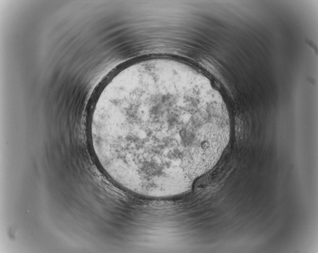 X0000102521068200808291752