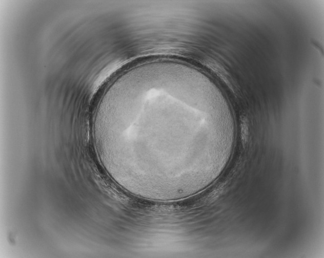 X0000102521069200808291752