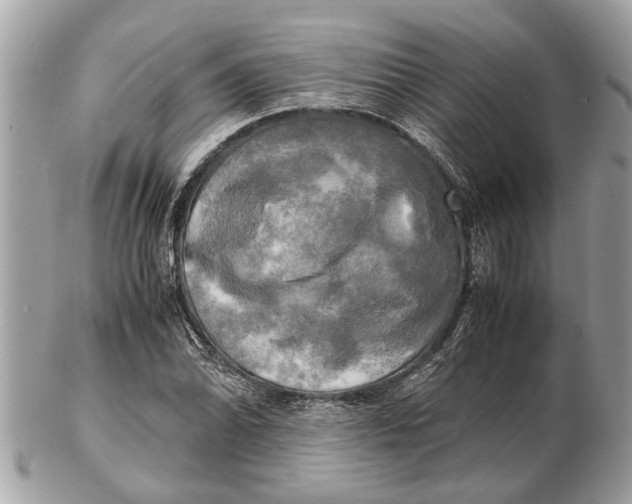 X0000102521070200808291752