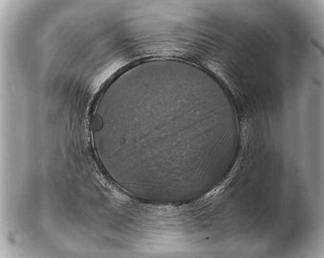 X0000102521071200808291752