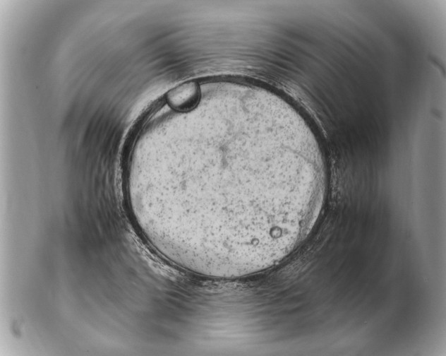 X0000102521072200808291752