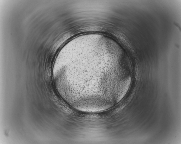 X0000102521073200808291752