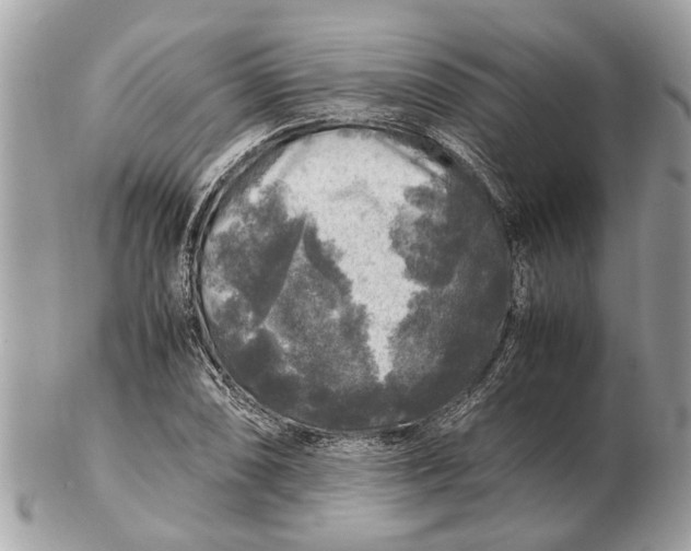 X0000102521074200808291752