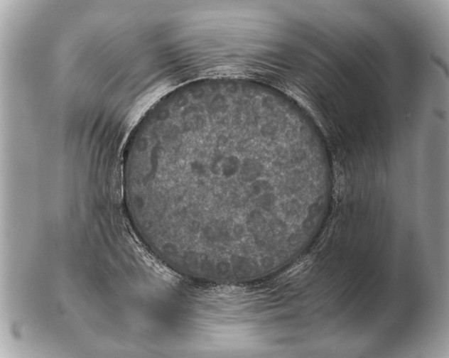 X0000102521075200808291752