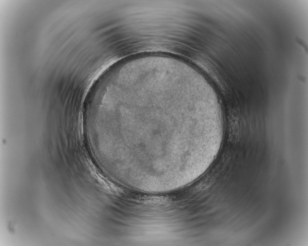 X0000102521076200808291751