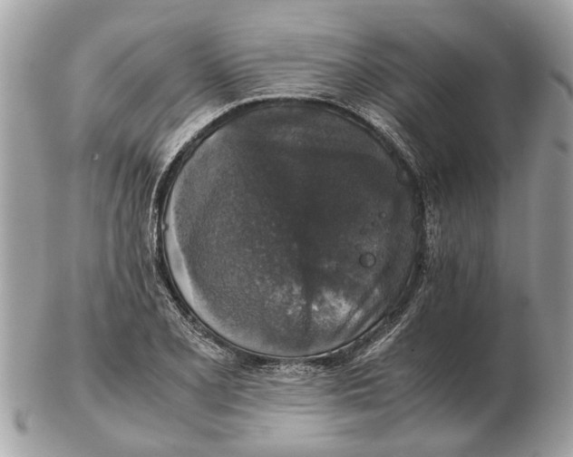 X0000102521077200808291751