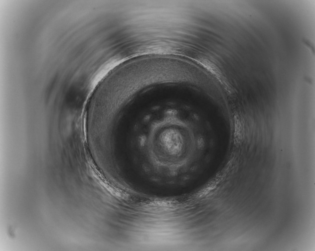 X0000102521078200808291751