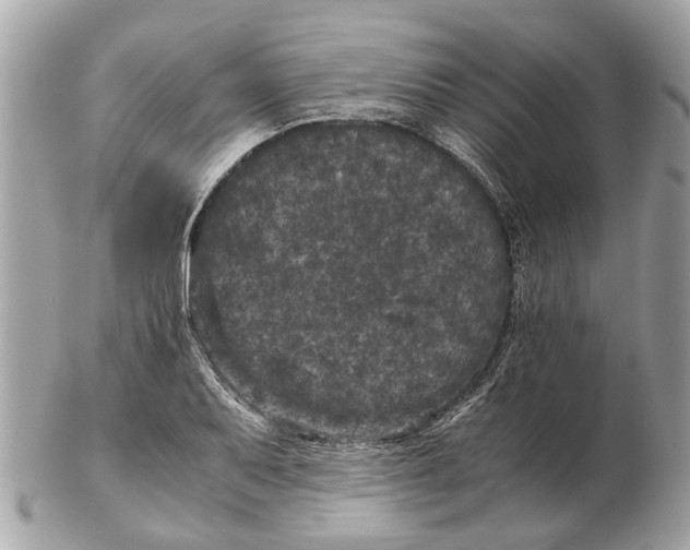 X0000102521079200808291751