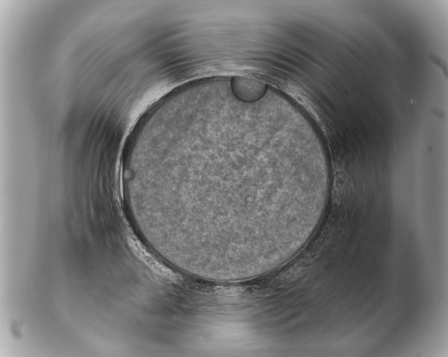 X0000102521080200808291751