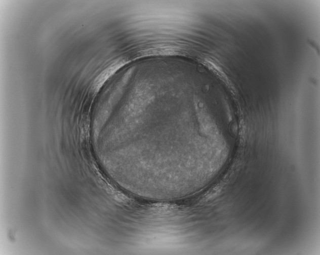 X0000102521081200808291751