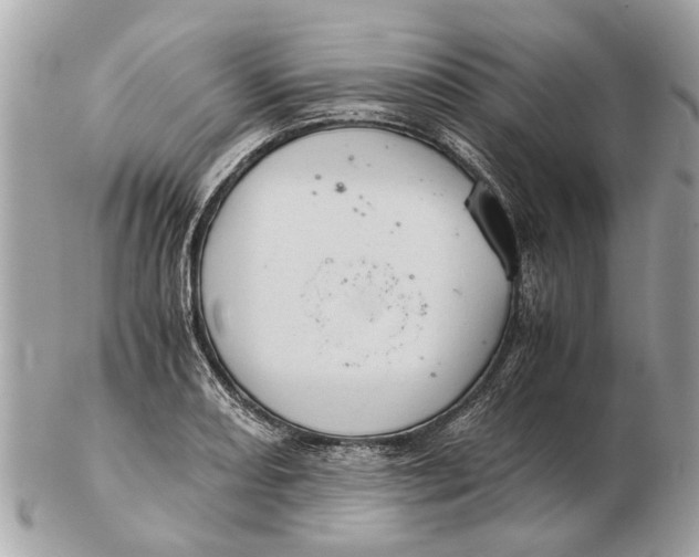 X0000102521082200808291751