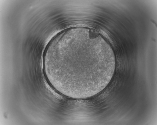 X0000102521084200808291751