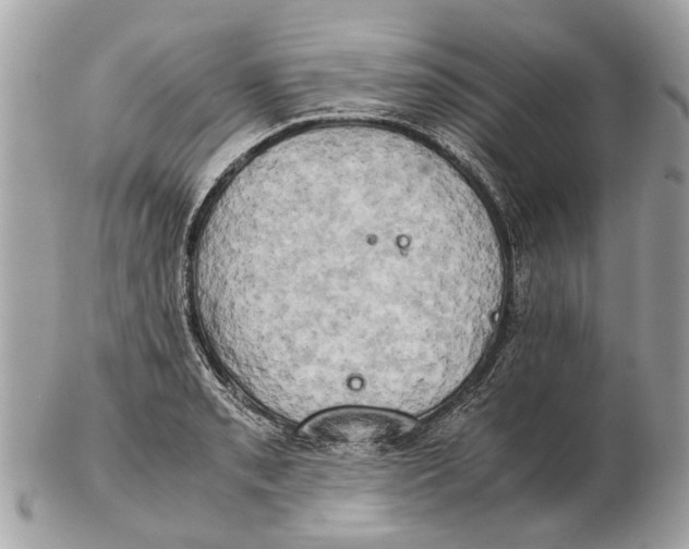 X0000102521085200808291751