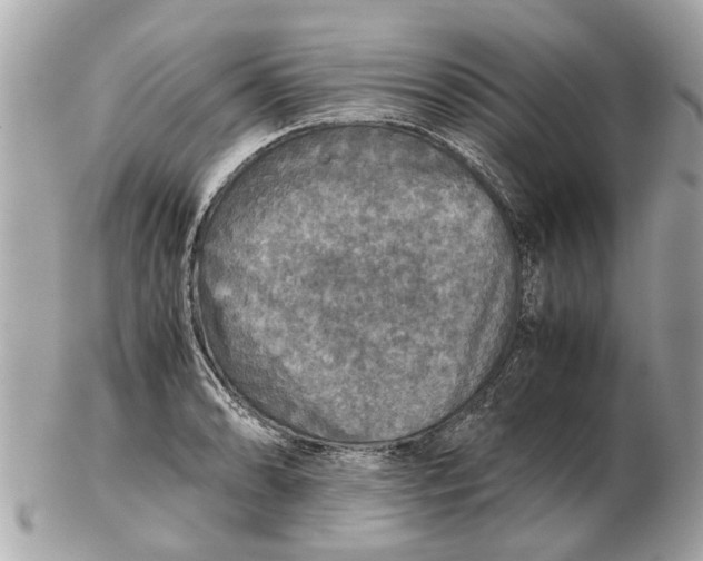 X0000102521086200808291751