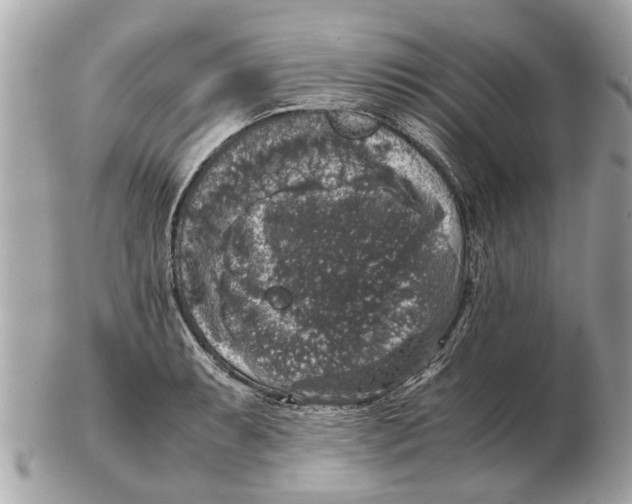 X0000102521087200808291751