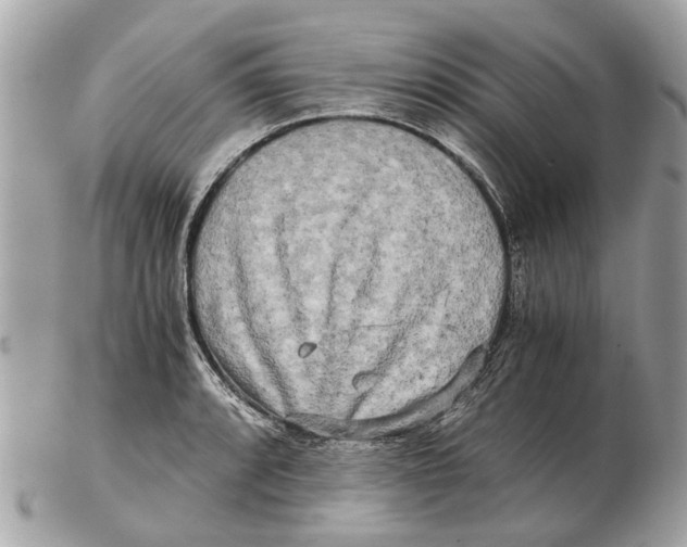 X0000102521088200808291751