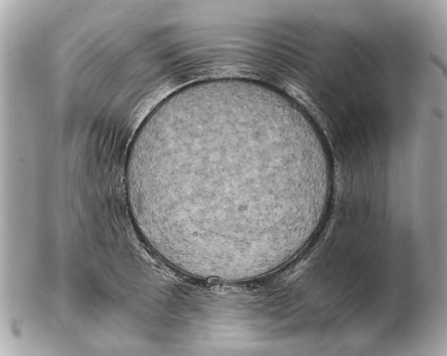 X0000102521089200808291751