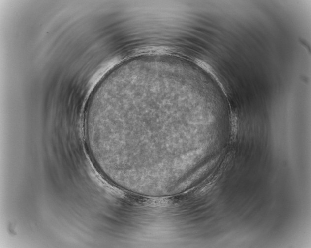 X0000102521090200808291751