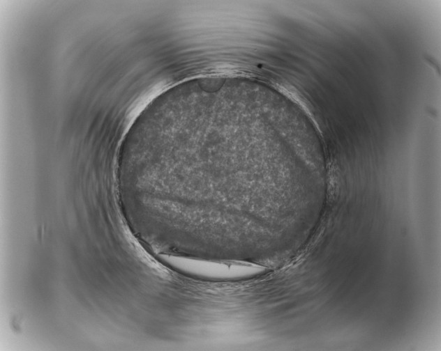 X0000102521091200808291751