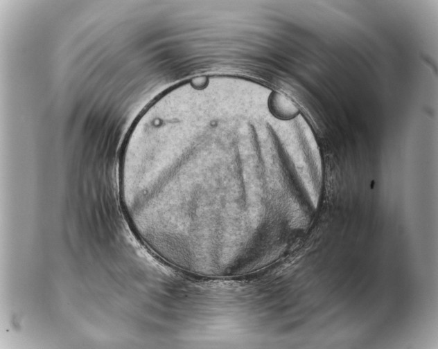 X0000102521092200808291751