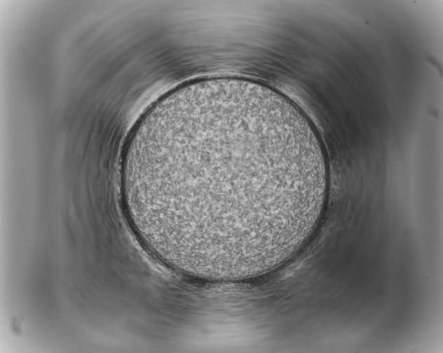 X0000102521093200808291751