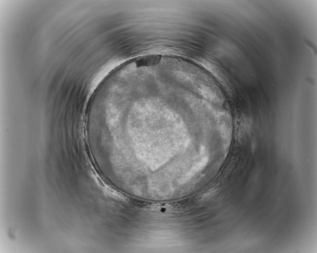 X0000102521094200808291751