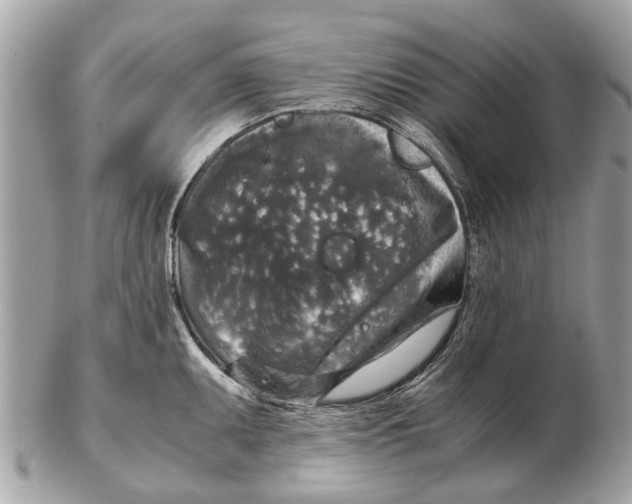 X0000102521095200808291751