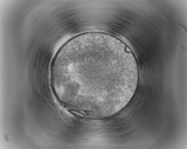 X0000102521096200808291751