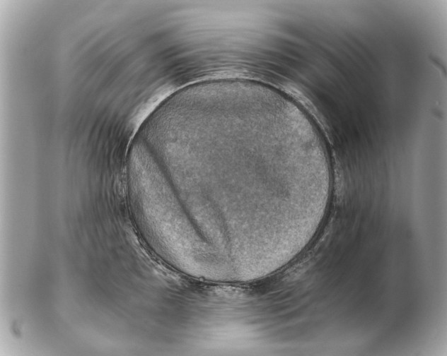 X0000102521097200808291751