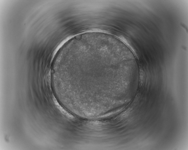 X0000102521100200808291751