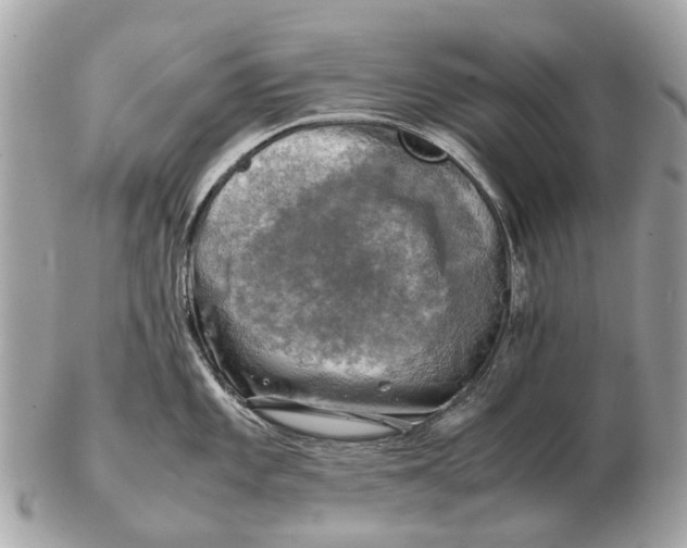 X0000102521101200808291751