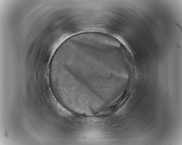 X0000102521102200808291751