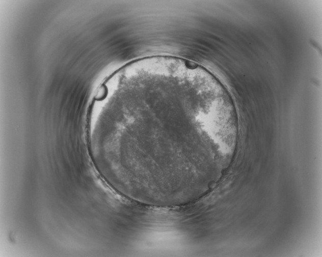 X0000102521104200808291751