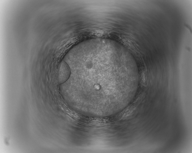 X0000102521105200808291750