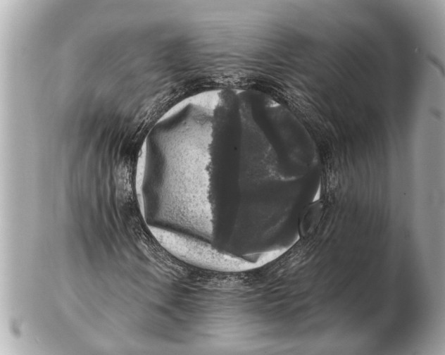 X0000102521106200808291750