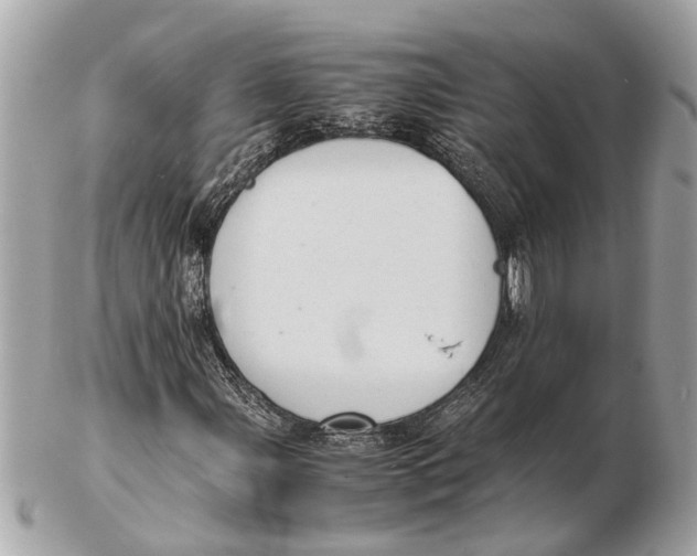 X0000102521107200808291750