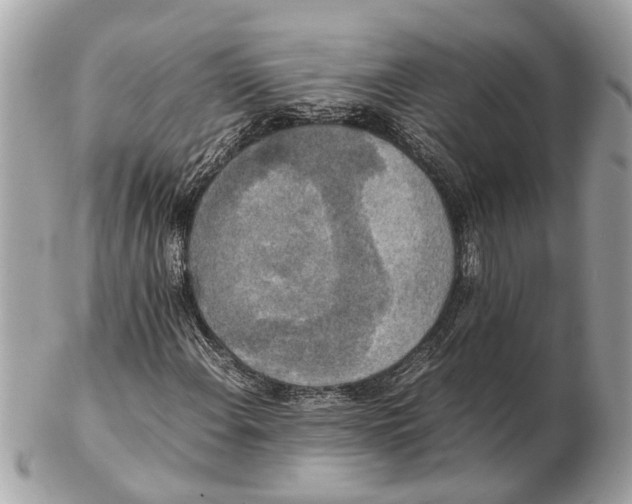 X0000102521108200808291750