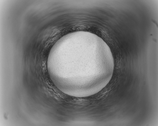 X0000102521109200808291750