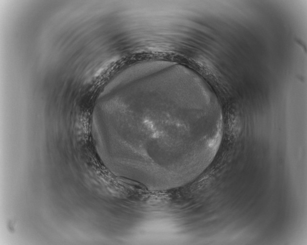 X0000102521110200808291750