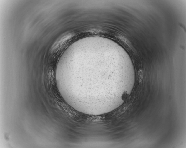 X0000102521111200808291750