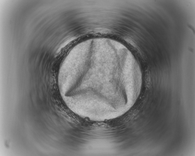 X0000102521112200808291750