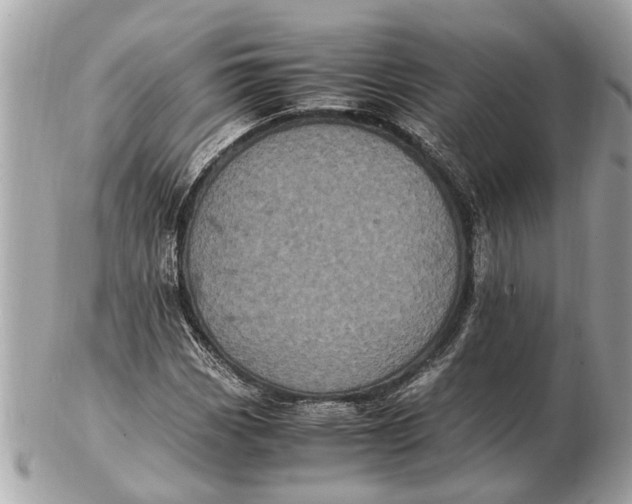 X0000102521113200808291750