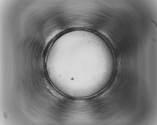 X0000102521114200808291750