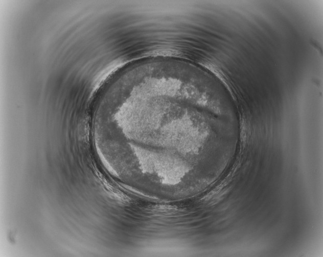 X0000102521115200808291750