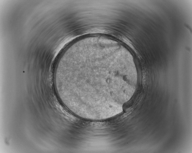 X0000102521116200808291750