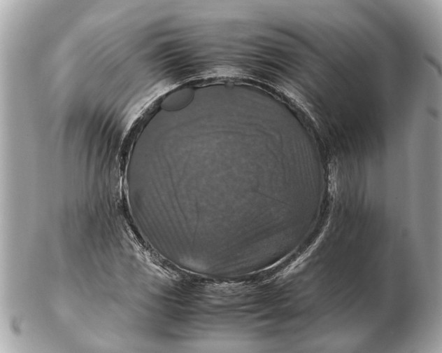 X0000102521117200808291750