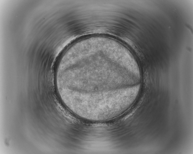 X0000102521118200808291750