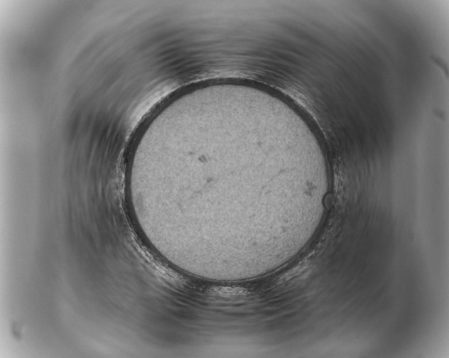 X0000102521119200808291750